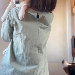 動画1