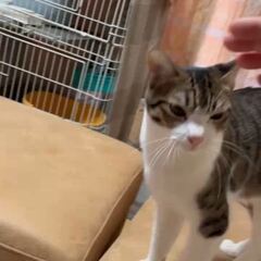 動画1