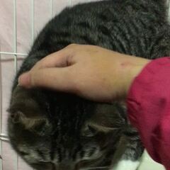 動画1