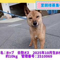 動画1