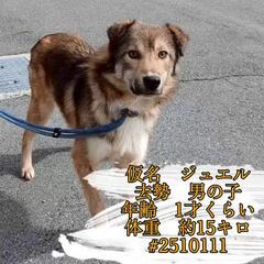 動画1