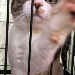 動画1