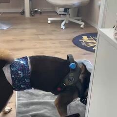 動画1