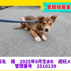 動画1