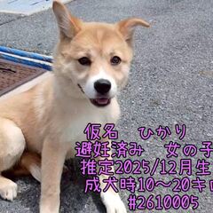 動画1