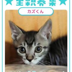 動画1