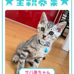 動画1
