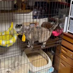 動画1