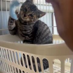 動画1