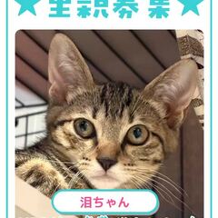 動画1