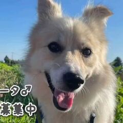 動画1