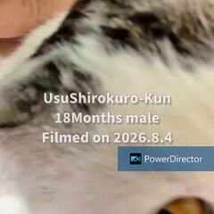 動画1