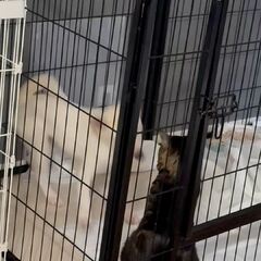 動画1