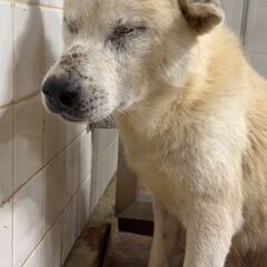 動画1