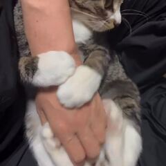 動画1