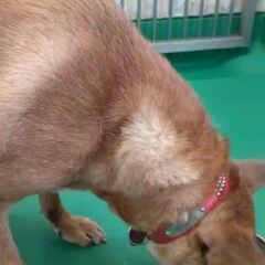 動画1